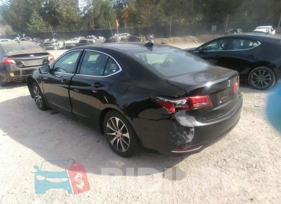 19UUB1F52FA001384 Photo# 3