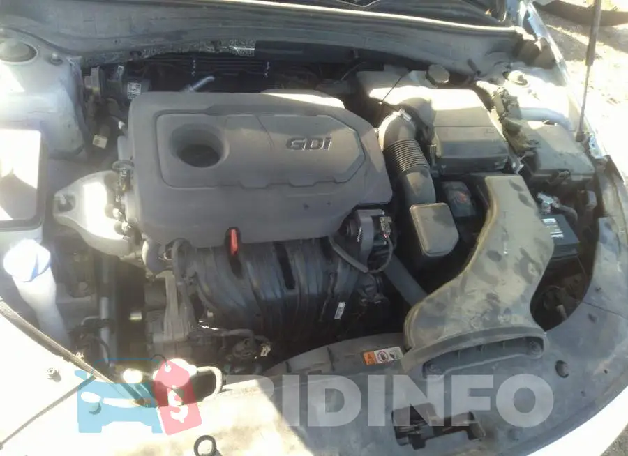 5XXGT4L33GG021775 Photo# 10