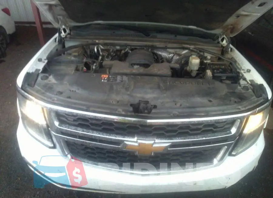 1GNSCBKC1FR233075 Photo# 10