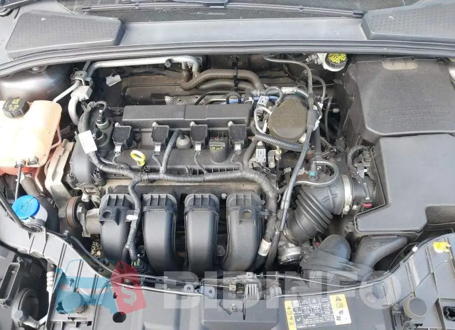 1FADP3F24GL250637 Photo# 10