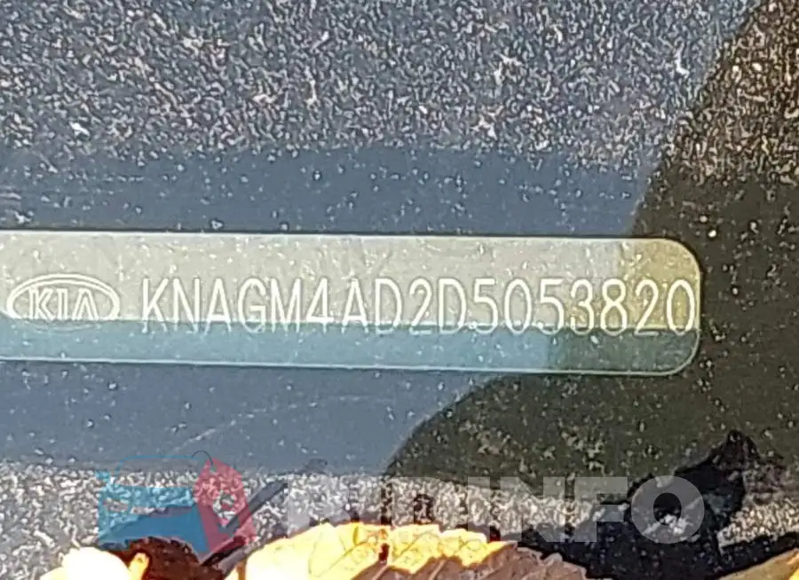 KNAGM4AD2D5053820 Photo# 9