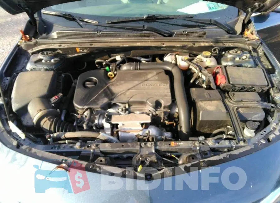1G1ZD5ST6LF128334 Photo# 10