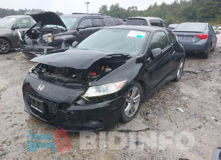 JHMZF1C67DS001022 Photo# 2