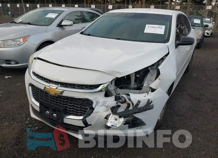 1G11B5SL1FF169171 Photo# 6