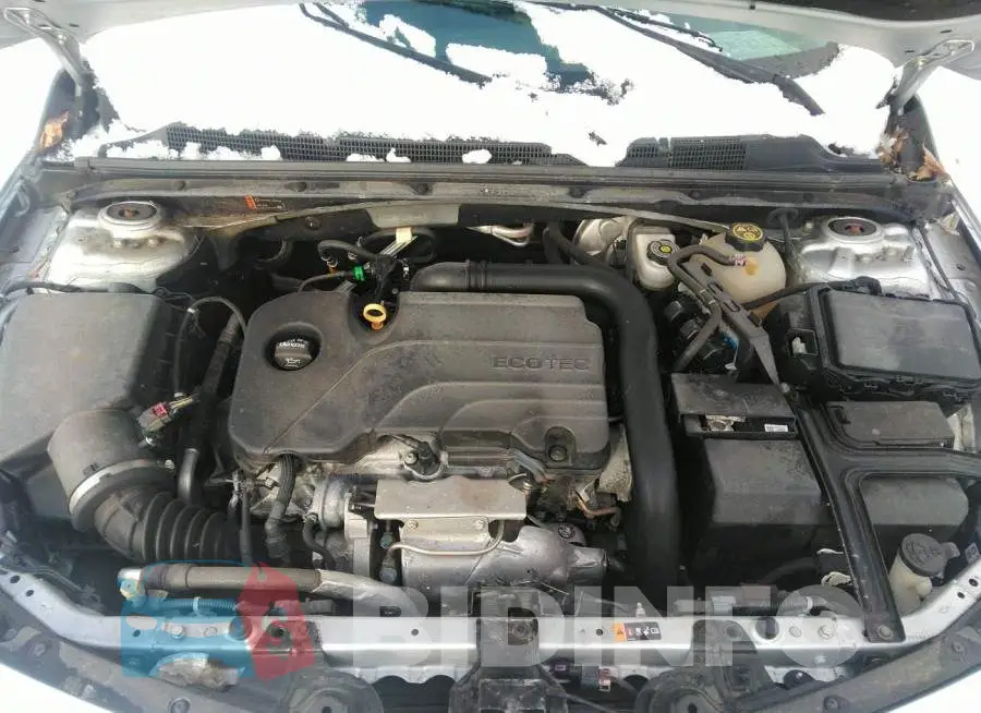 1G1ZD5ST2JF276204 Photo# 10
