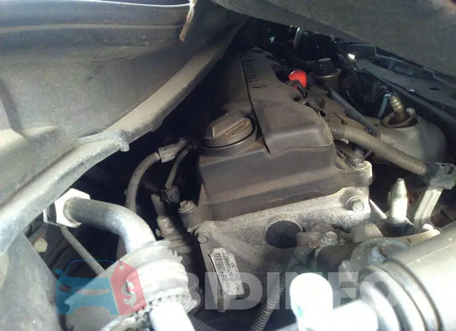 19XFB2F81DE247134 Photo# 10