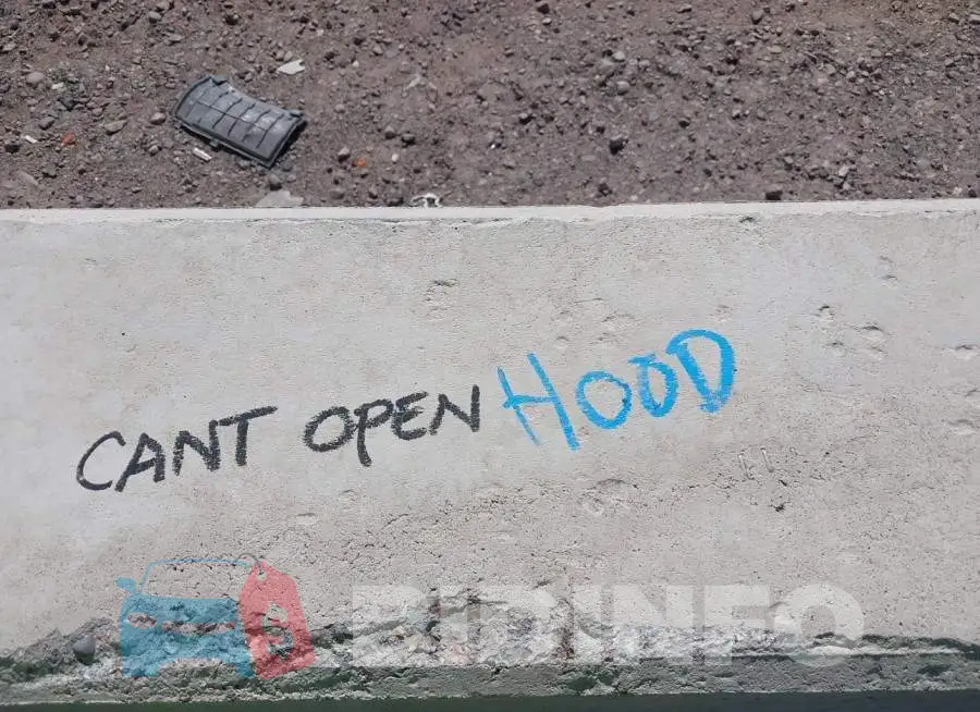 1V2RR2CA0MC573268 Photo# 10