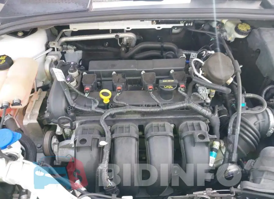 1FADP3E26EL235524 Photo# 10