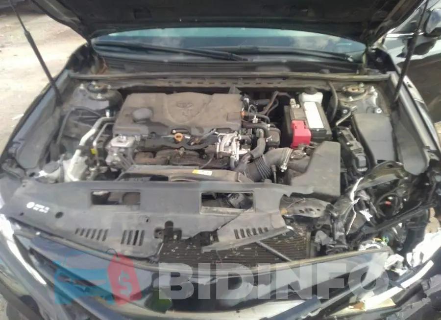 4T1M11AK8LU986570 Photo# 10