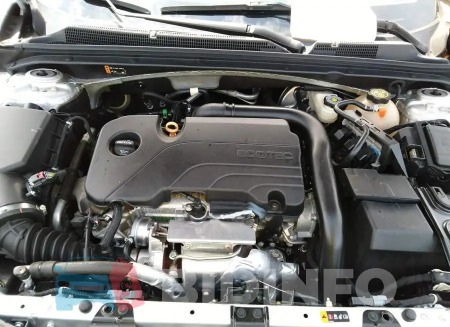 1G1ZD5ST8LF005859 Photo# 10