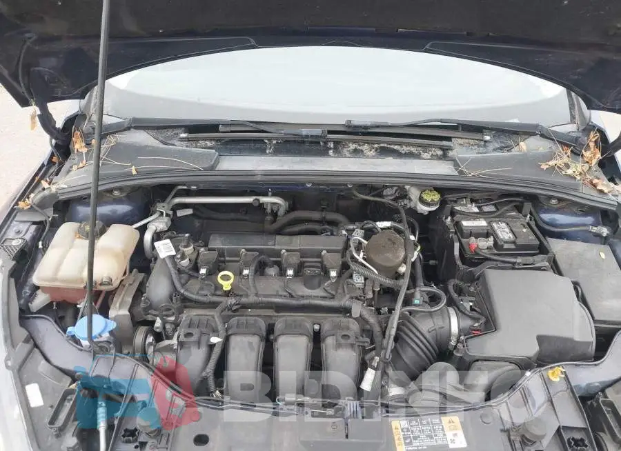 1FADP3F25GL202080 Photo# 10