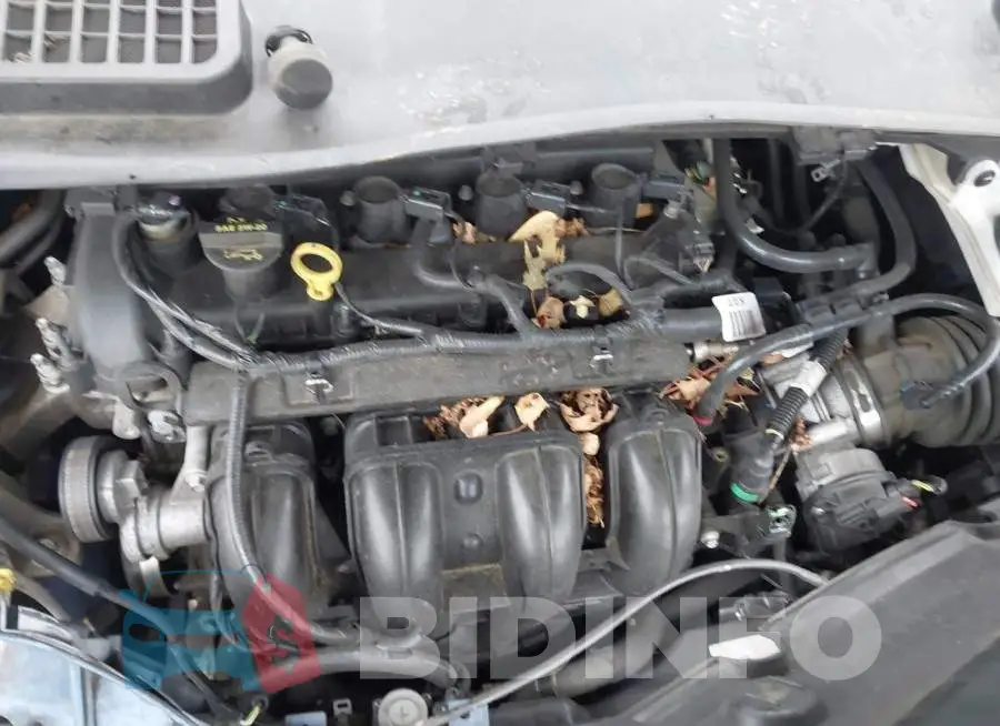 1FMCU0F70GUA50417 Photo# 10