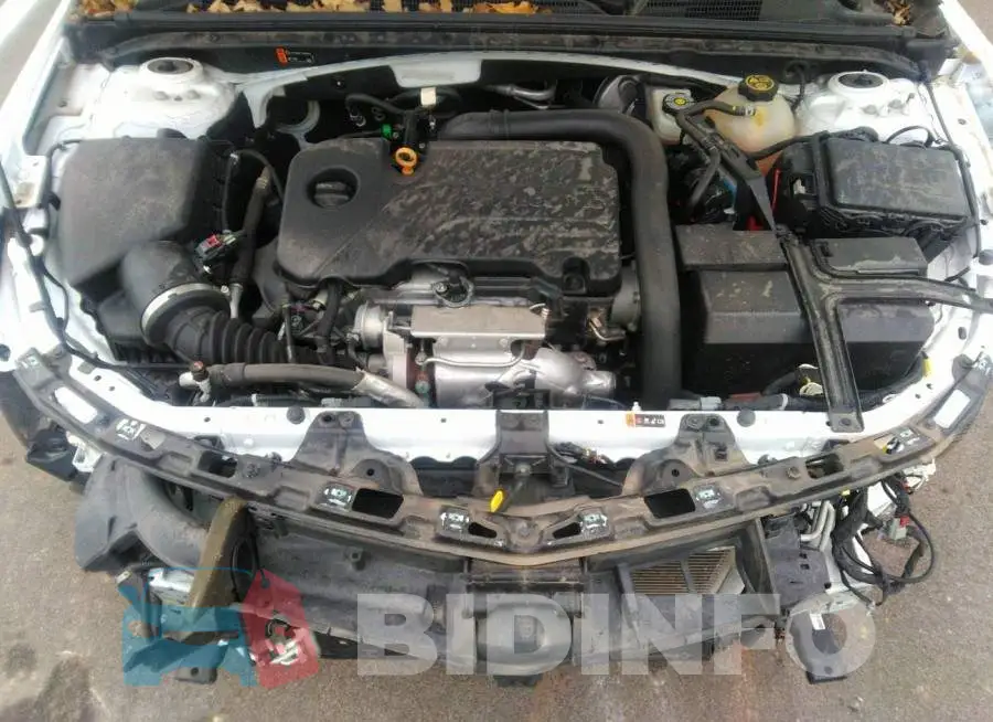 1G1ZD5ST6LF036477 Photo# 10