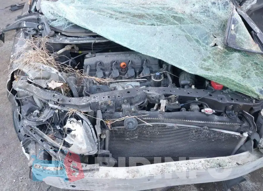 19XFB2F95DE023079 Photo# 10