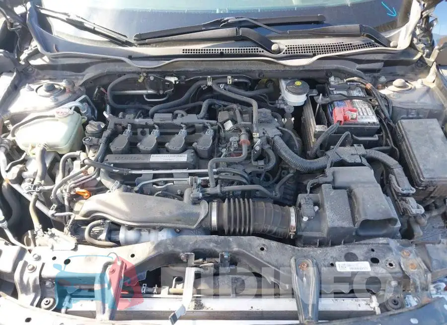 19XFC1F35GE215075 Photo# 10