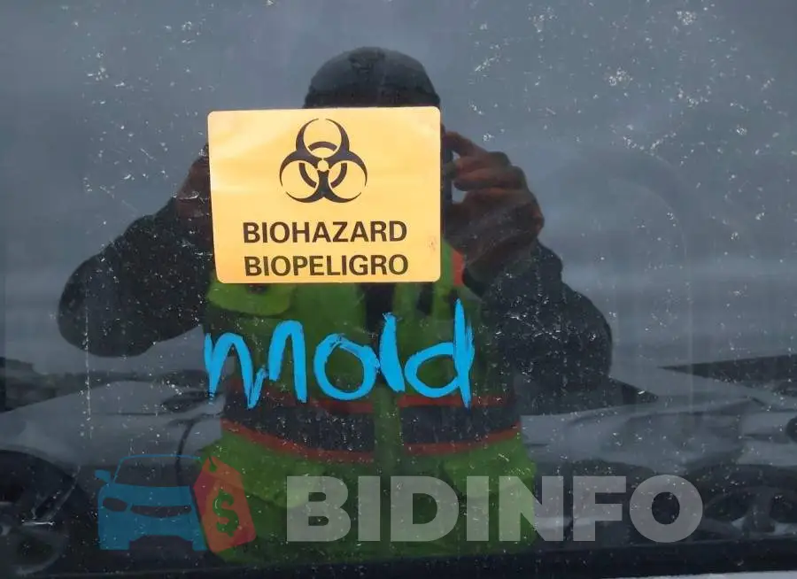 2HGFB2F57DH549829 Photo# 7