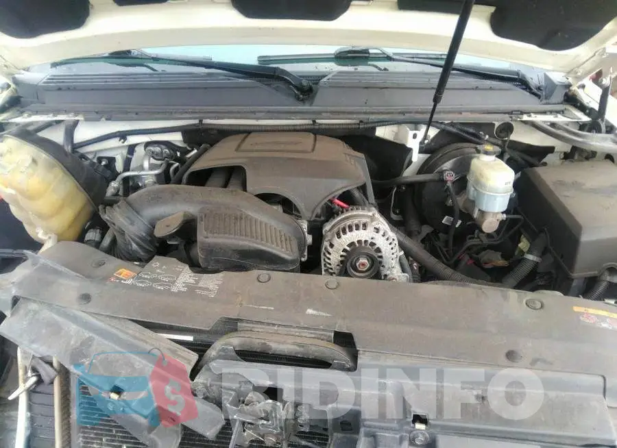 1GKS2EEF5DR253902 Photo# 10