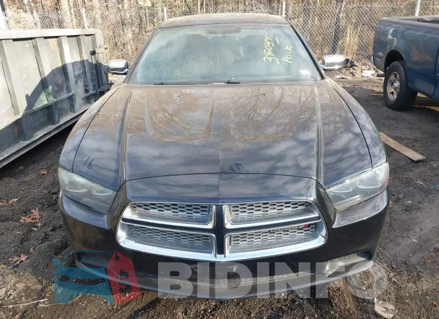 2C3CDXBG9DH508963 Photo# 6
