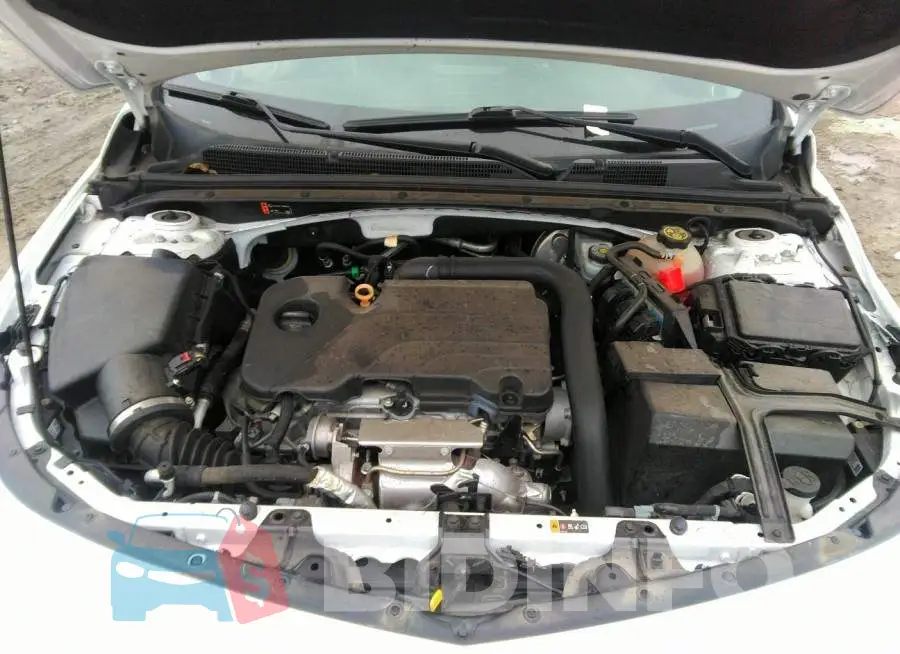 1G1ZD5ST6LF111601 Photo# 10