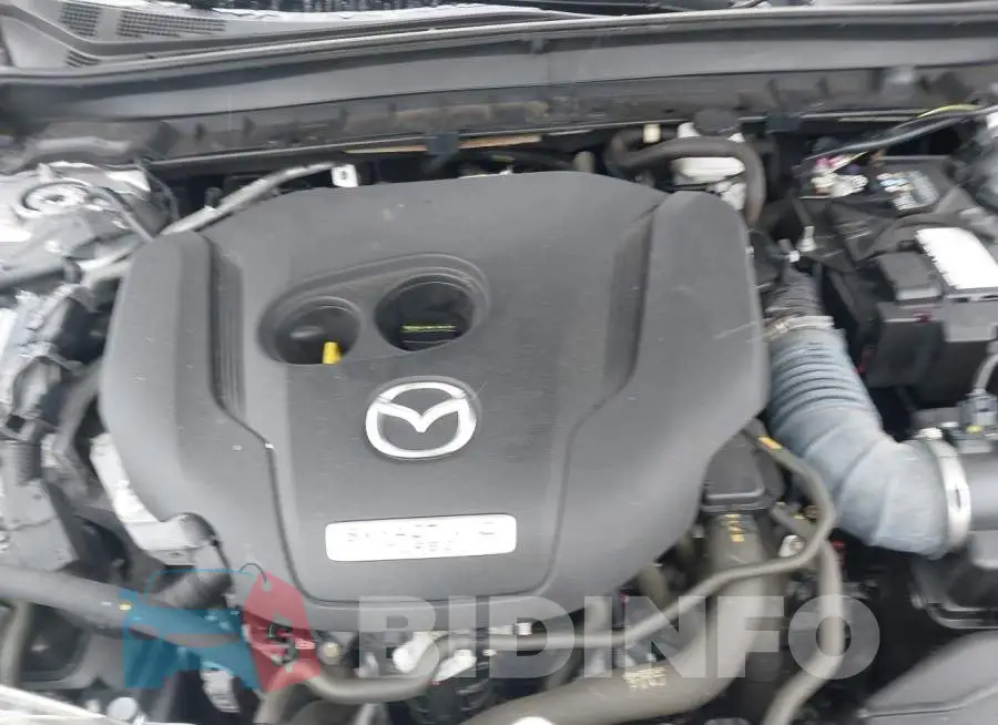 3MVDMBDY6MM261670 Photo# 10