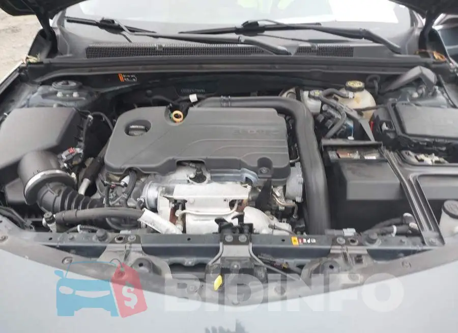 1G1ZD5ST6LF065896 Photo# 10