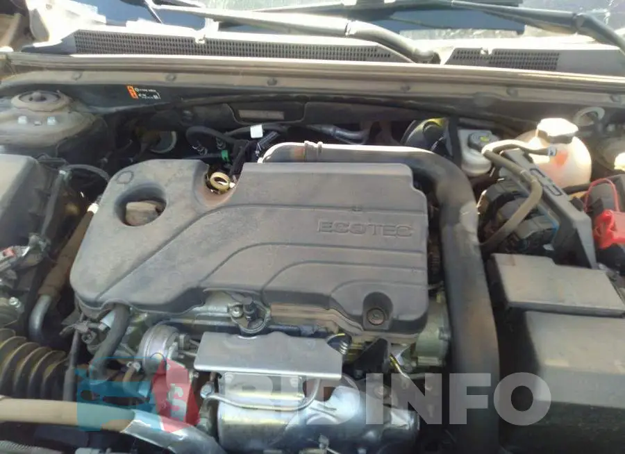 1G1ZD5ST8LF157009 Photo# 10