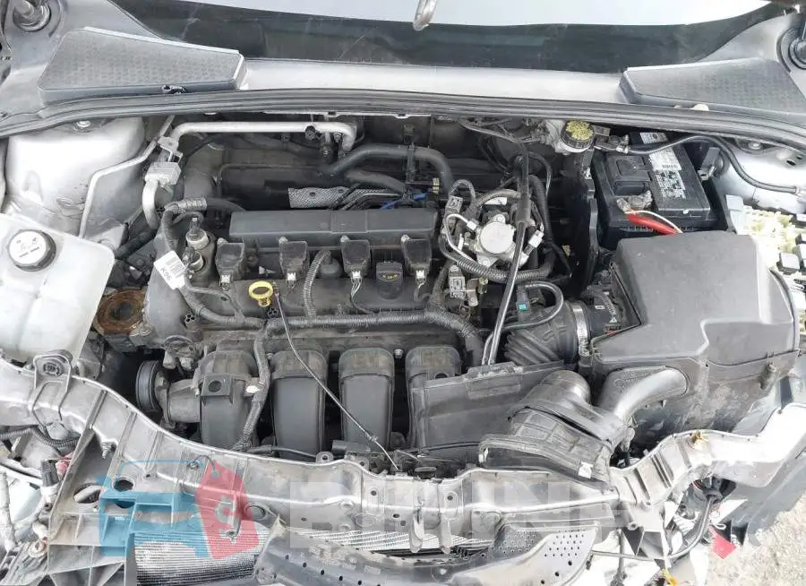 1FADP3F22GL338134 Photo# 10