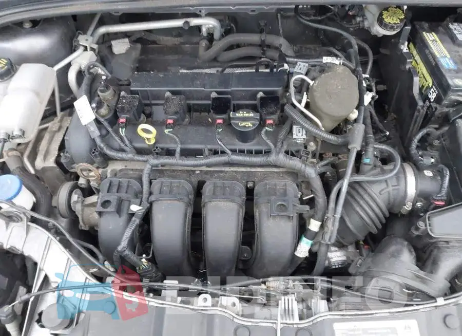 1FADP3F29EL207070 Photo# 10