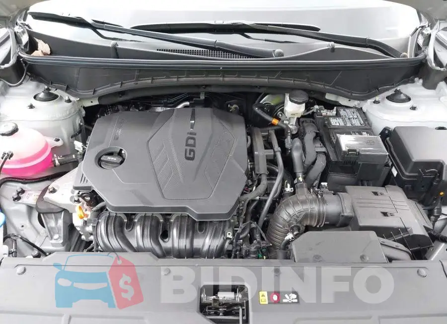 5NMJFCAE4PH291871 Photo# 10