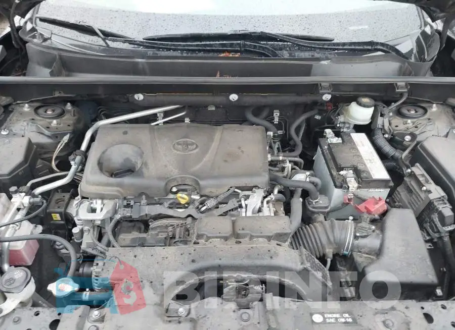 JTMP1RFV6KD506821 Photo# 10
