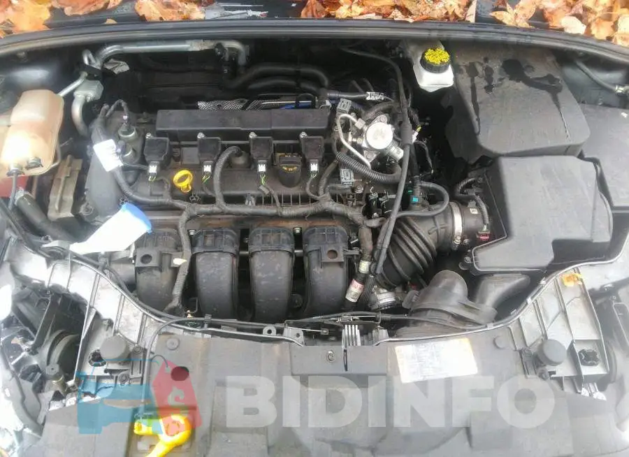 1FADP3F21HL337008 Photo# 10