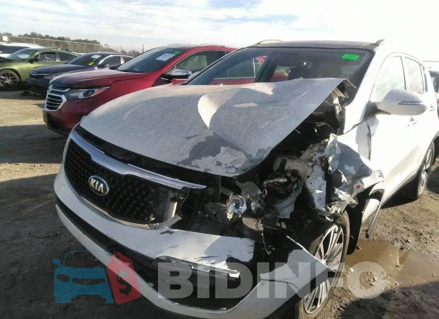 KNDPC3AC2E7571889 Photo# 6