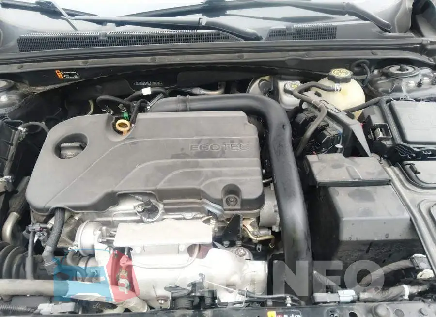 1G1ZD5ST5LF099506 Photo# 10