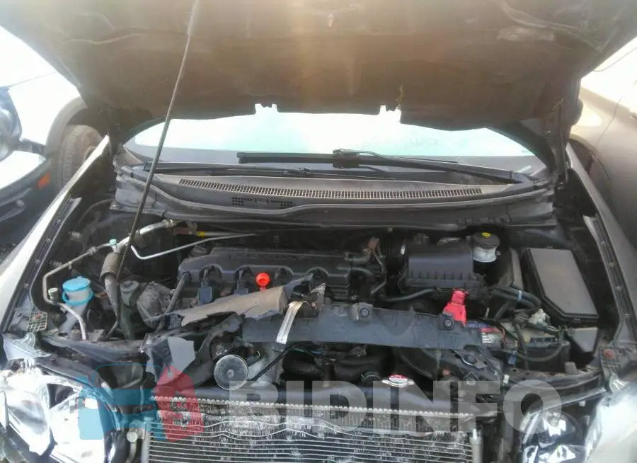 19XFB2F50FE246520 Photo# 10