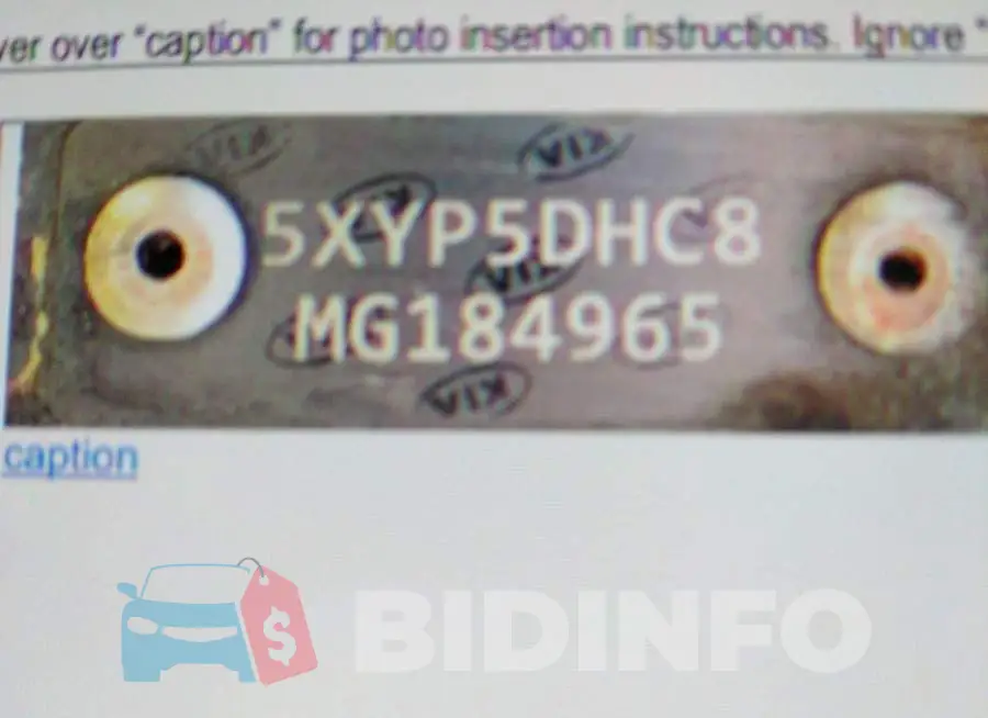 5XYP5DHC8MG184965 Photo# 9