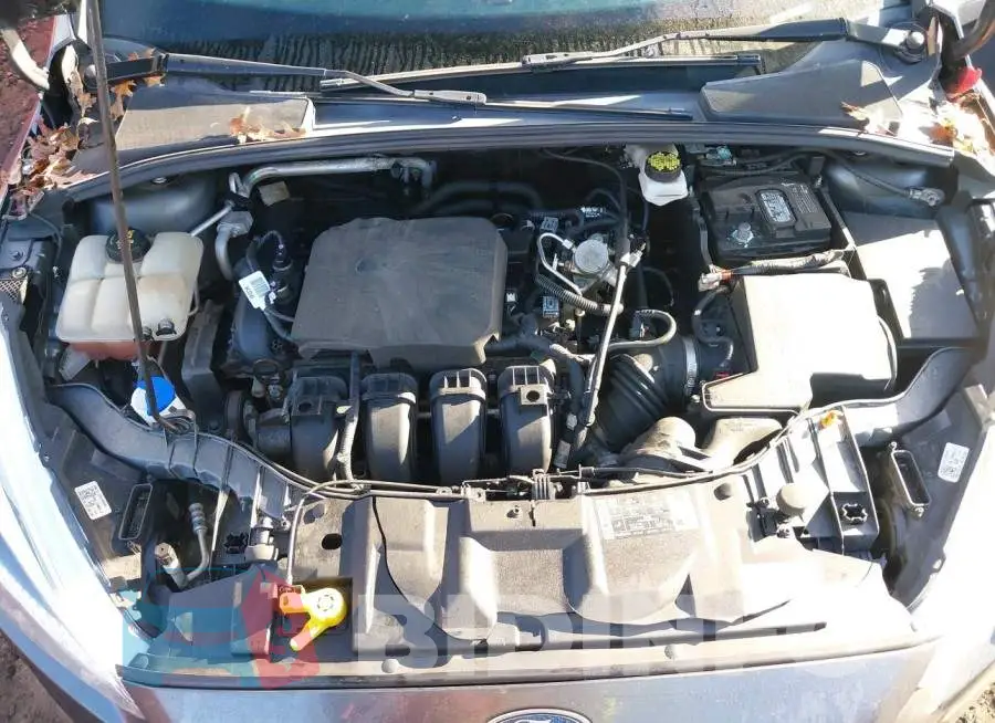 1FADP3E22HL280934 Photo# 10