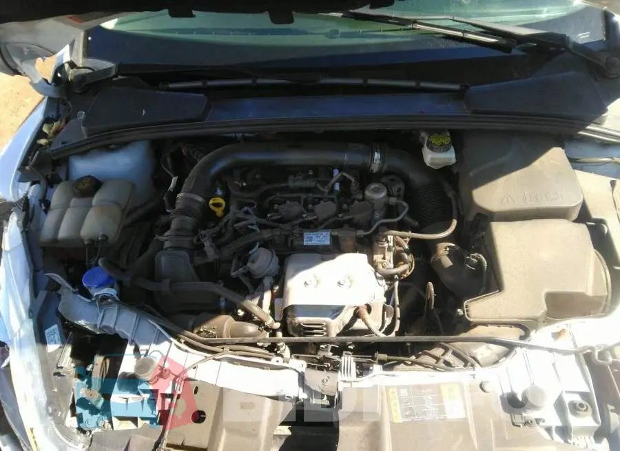 1FADP3FE0JL312990 Photo# 10