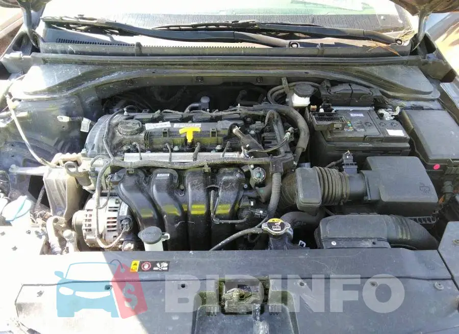 5NPD74LF8LH538893 Photo# 10
