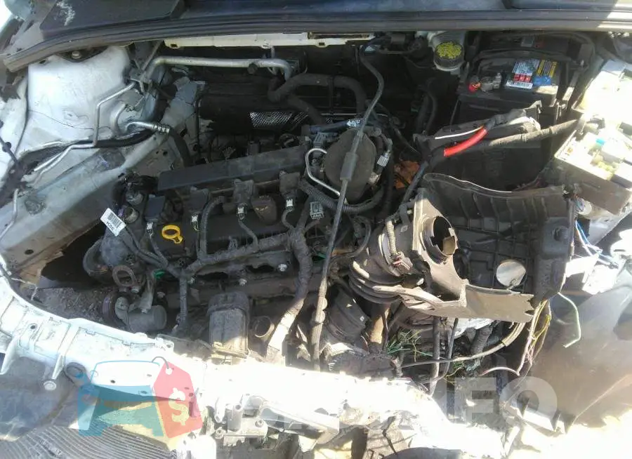 1FADP3E23FL295973 Photo# 10