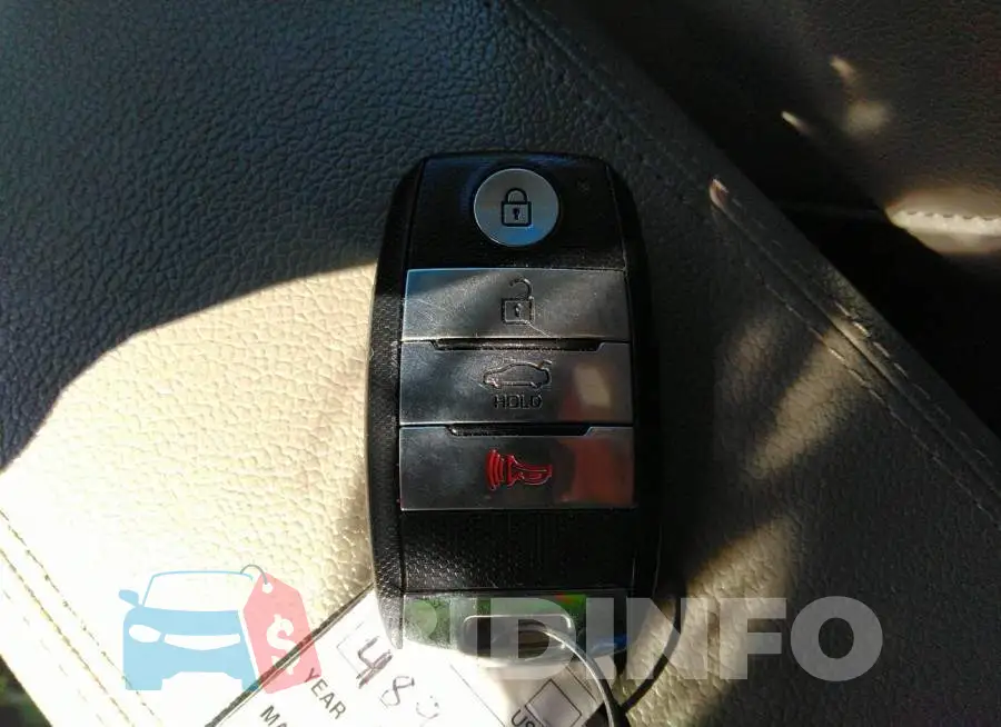 KNAFZ4A85G5489811 Photo# 11