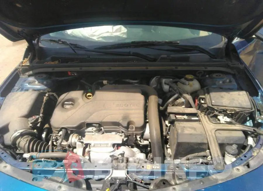 1G1ZD5ST7KF123948 Photo# 10