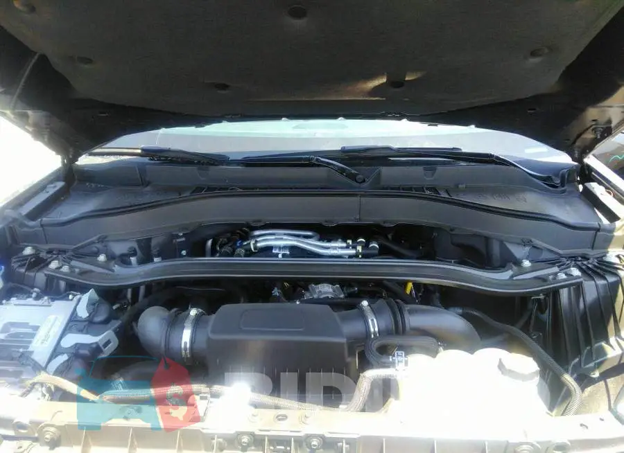1FM5K8GC4MGB50085 Photo# 10