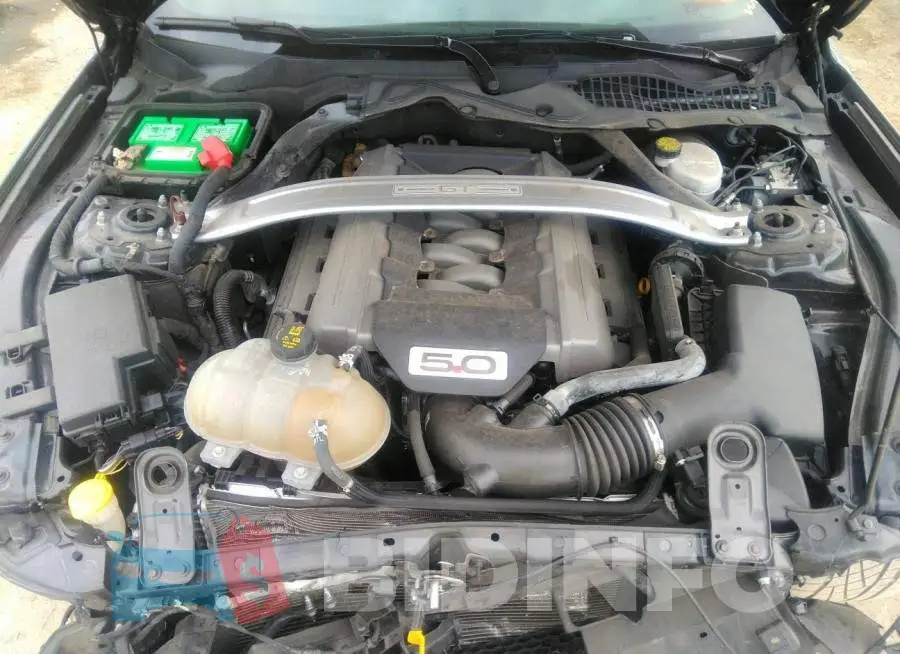 1FATP8FF7G5208091 Photo# 10