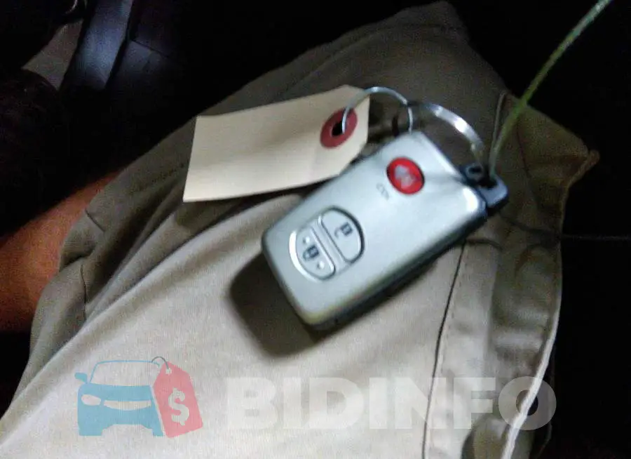 JTEBU5JR3G5344101 Photo# 11