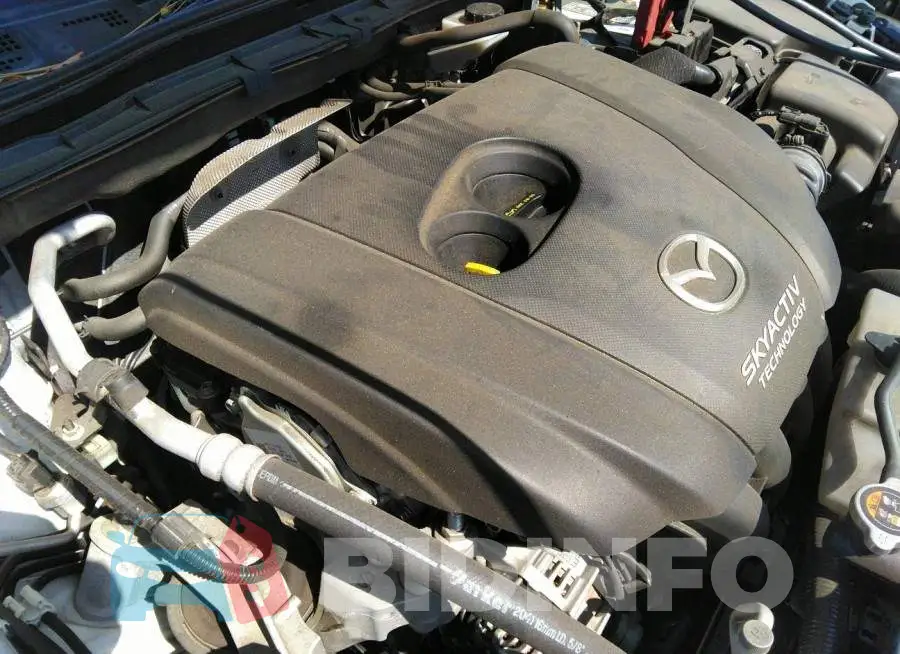 JM1BM1T70G1301304 Photo# 10