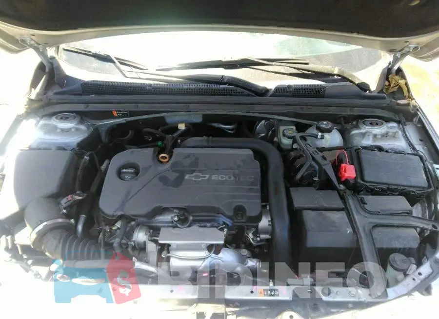 1G1ZB5ST0JF155175 Photo# 10