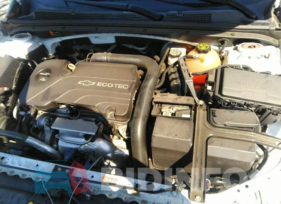 1G1ZB5ST2HF192206 Photo# 10
