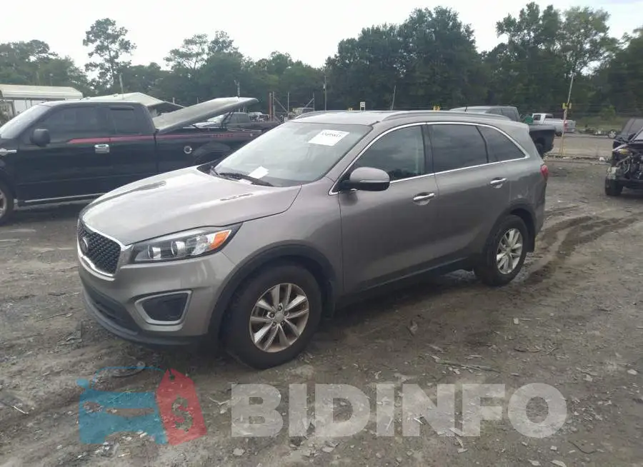 5XYPG4A52GG156878 Photo# 2