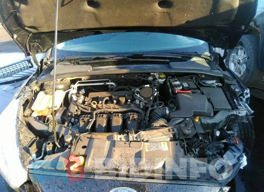 1FADP3F24GL298400 Photo# 10