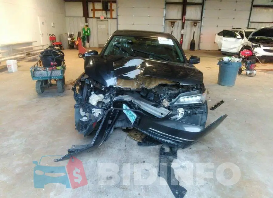 19UUB1F59FA011541 Photo# 6